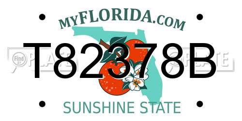 T82378B Florida License Plate