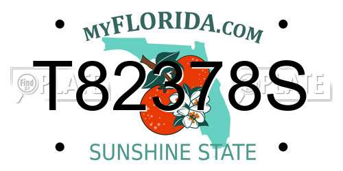 T82378S Florida License Plate
