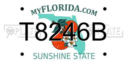 T8246B Florida License Plate