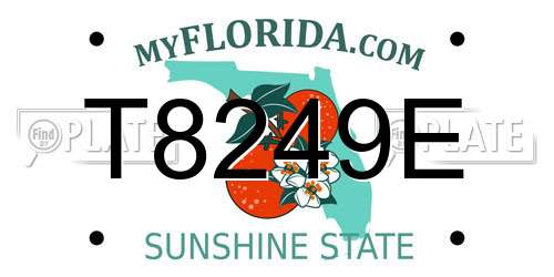 T8249E Florida License Plate