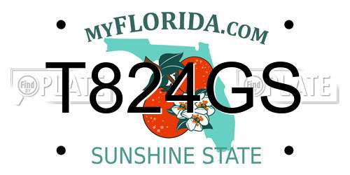 T824GS Florida License Plate