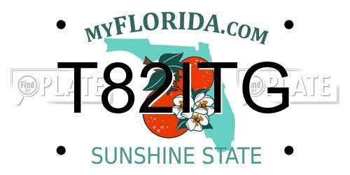 T82ITG Florida License Plate