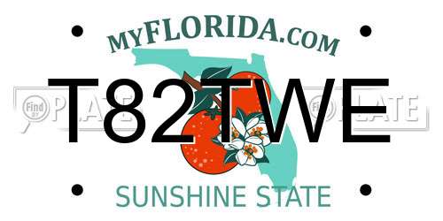 T82TWE Florida License Plate