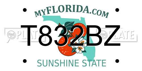T832BZ Florida License Plate