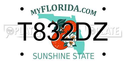 T832DZ Florida License Plate