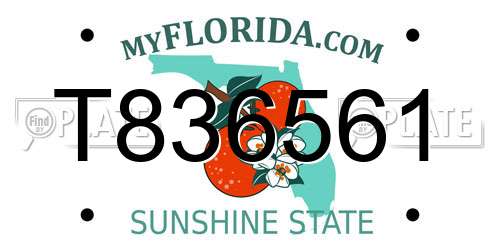T836561 Florida License Plate