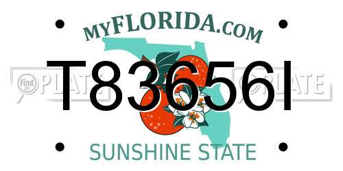 T83656I Florida License Plate