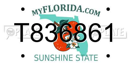 T836861 Florida License Plate