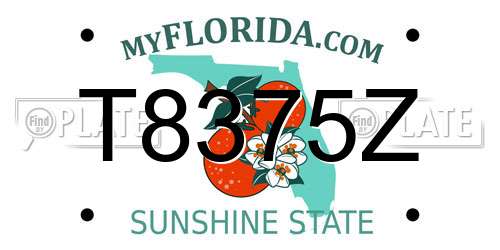 T8375Z Florida License Plate