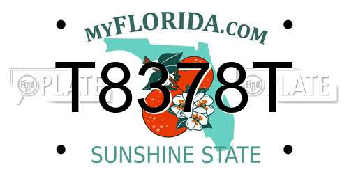 T8378T Florida License Plate