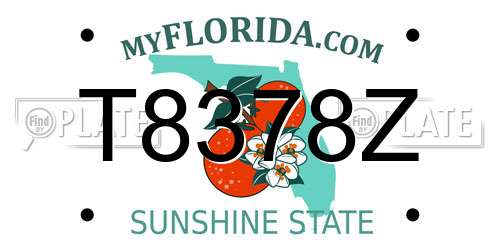 T8378Z Florida License Plate