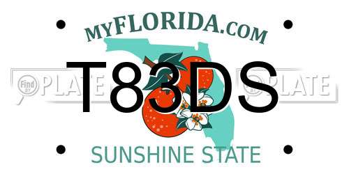 T83DS Florida License Plate