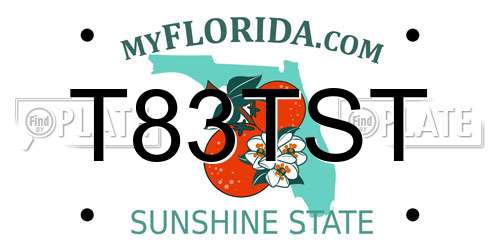 T83TST Florida License Plate