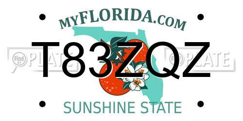 T83ZQZ Florida License Plate