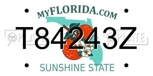 T84243Z Florida License Plate