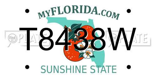 T8438W Florida License Plate