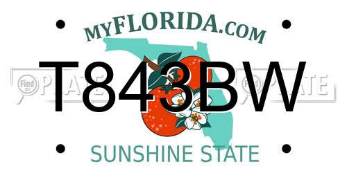 T843BW Florida License Plate