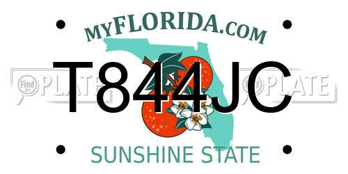 T844JC Florida License Plate
