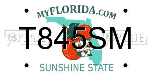 T845SM Florida License Plate
