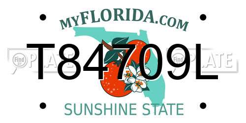 T84709L Florida License Plate