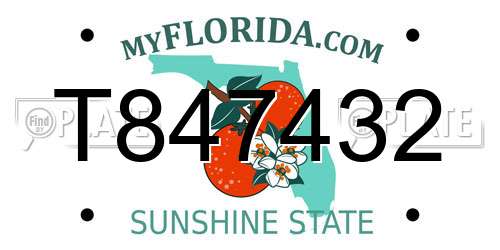 T847432 Florida License Plate