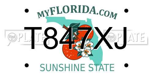 T847XJ Florida License Plate