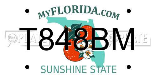 T848BM Florida License Plate