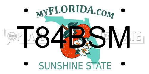 T84BSM Florida License Plate