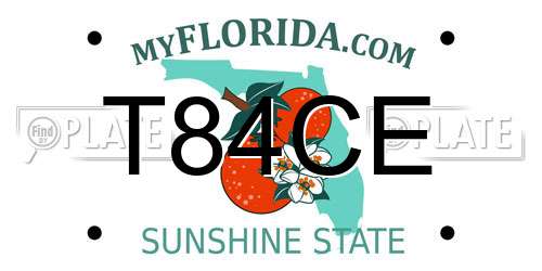 T84CE Florida License Plate