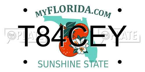 T84CEY Florida License Plate