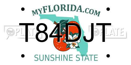T84DJT Florida License Plate