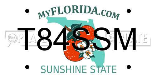 T84SSM Florida License Plate