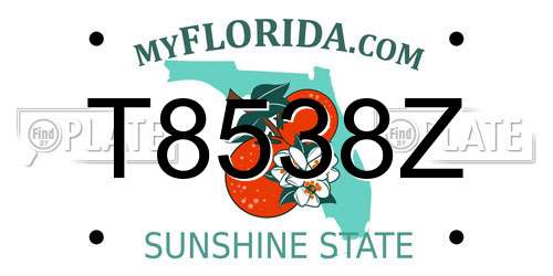 T8538Z Florida License Plate