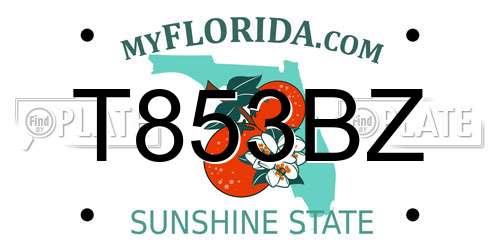 T853BZ Florida License Plate