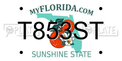 T853ST Florida License Plate