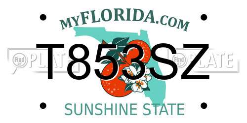 T853SZ Florida License Plate