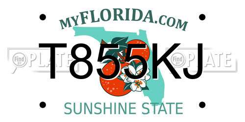 T855KJ Florida License Plate