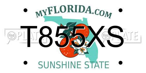 T855XS Florida License Plate