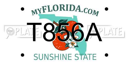 T856A Florida License Plate