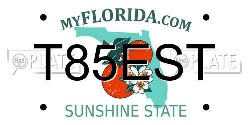 T85EST Florida License Plate