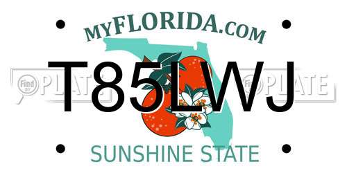 T85LWJ Florida License Plate
