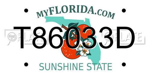 T86033D Florida License Plate