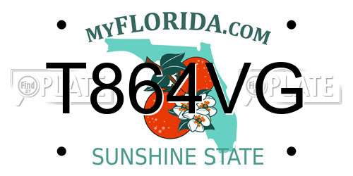 T864VG Florida License Plate