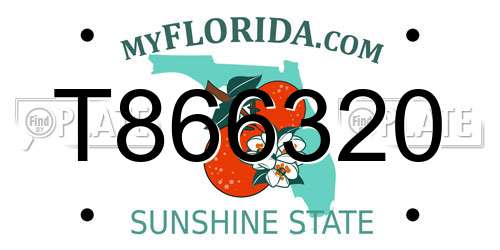 T866320 Florida License Plate