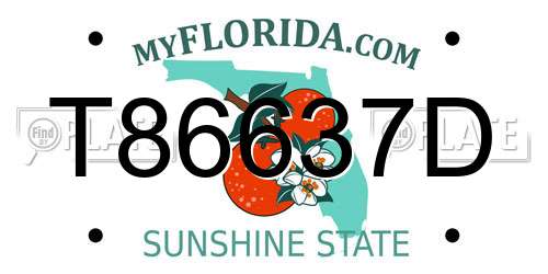 T86637D Florida License Plate