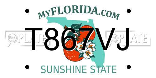 T867VJ Florida License Plate