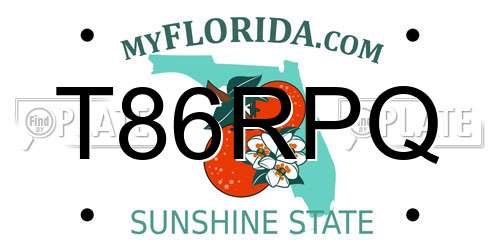 T86RPQ Florida License Plate