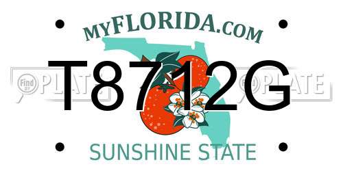 T8712G Florida License Plate