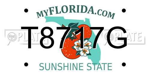 T8717G Florida License Plate