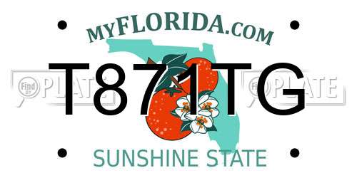 T871TG Florida License Plate